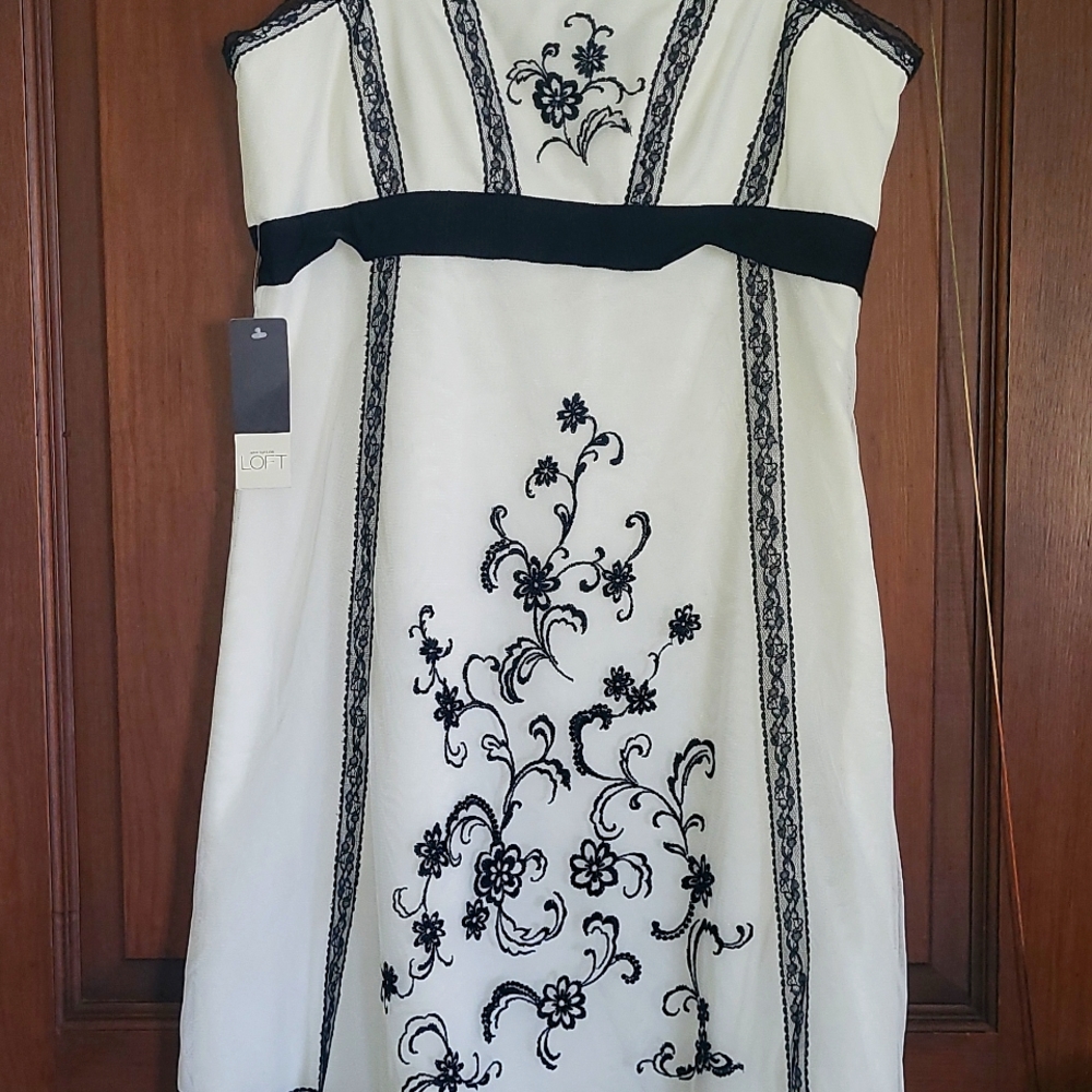 Size 10 Ann Taylor Loft white and black dress